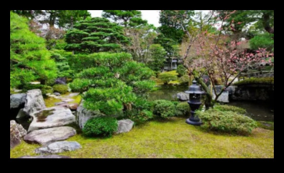 Cultivarea bucuriei: bricolaj eleganță pentru un paradis încântător de grădină