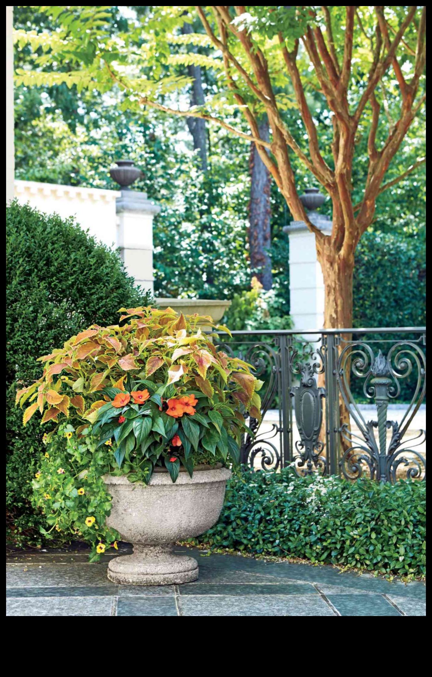 Grădini compacte, impact mare: Container Gardening Magic