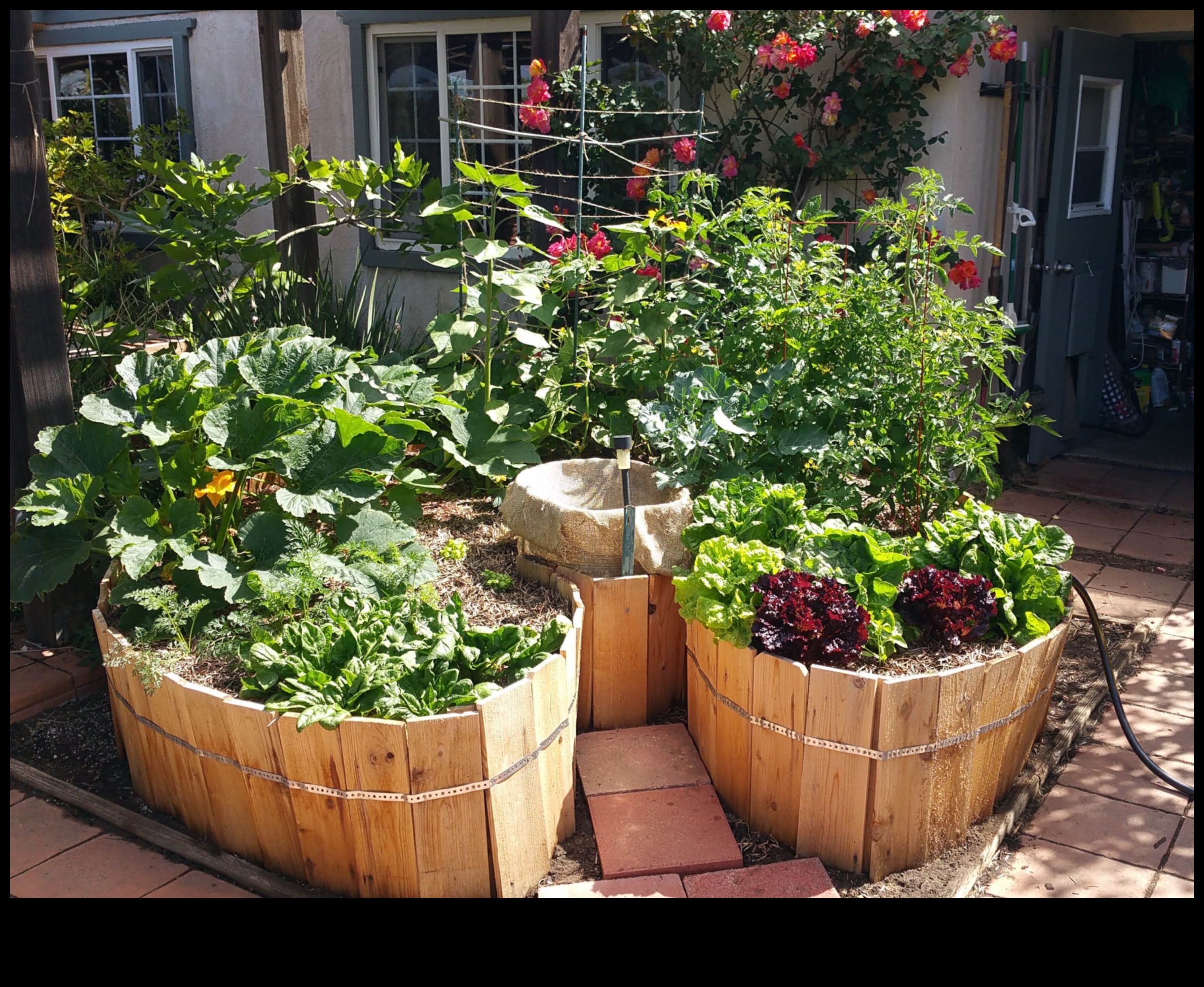 Grădini compacte, impact mare: Container Gardening Magic