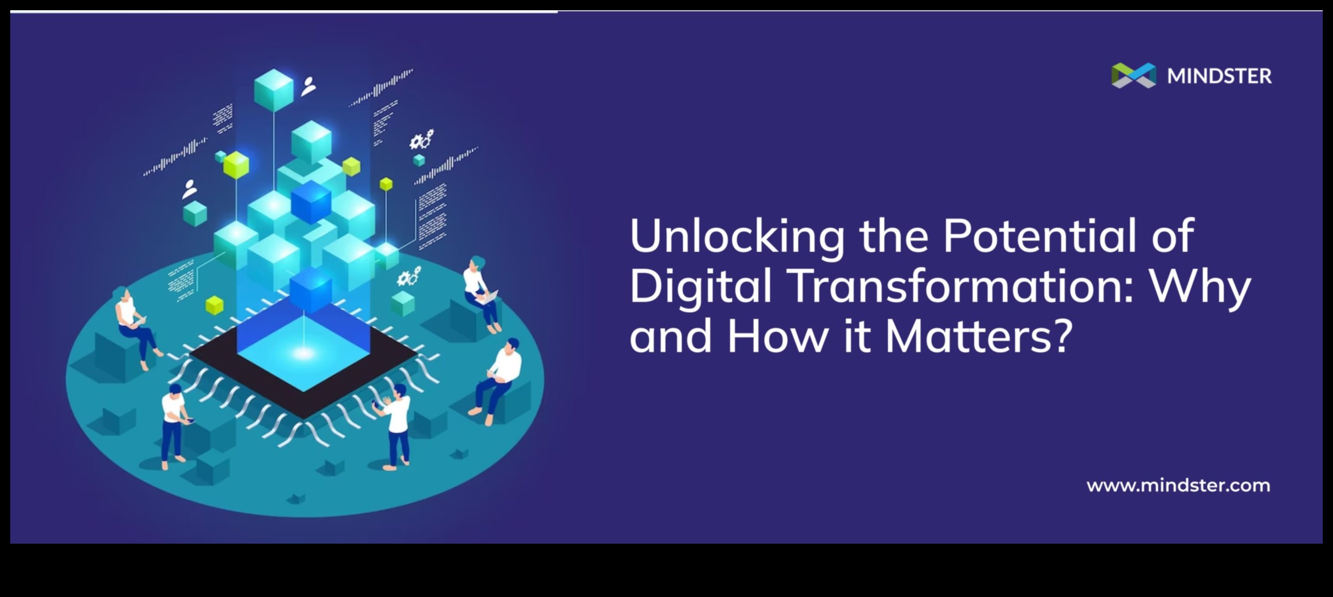 Web 2.0 Insights: înțelegerea nucleului transformării digitale