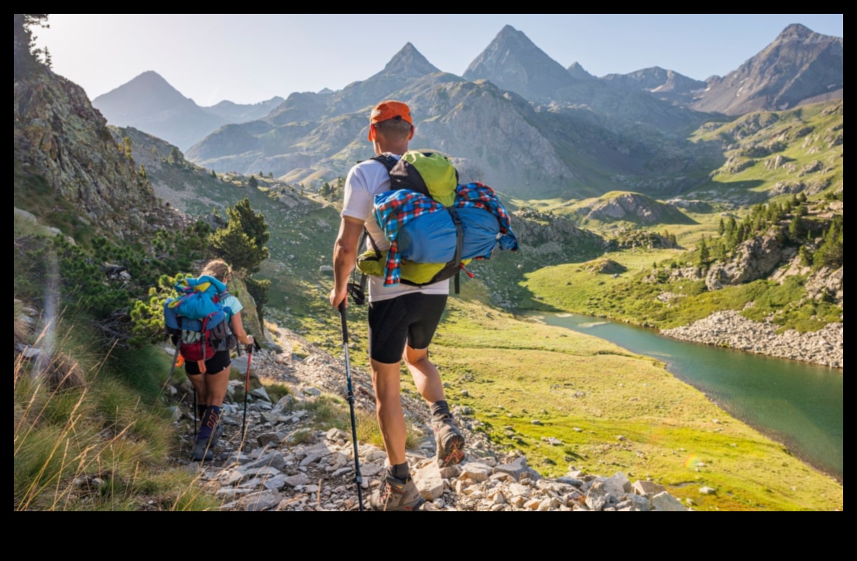 Drumeții istorice: Navigarea trecutului în excursii pe jos