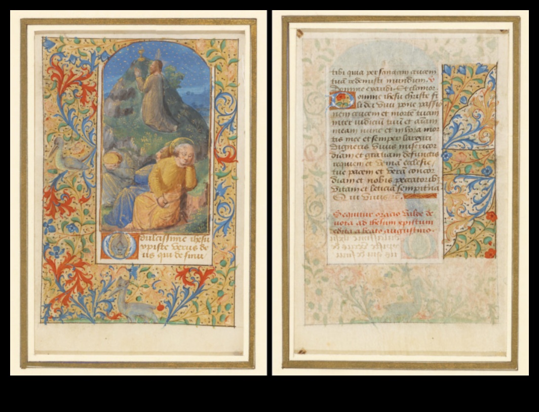 Muzele manuscrise medievale: inspirațiile din spatele luminilor