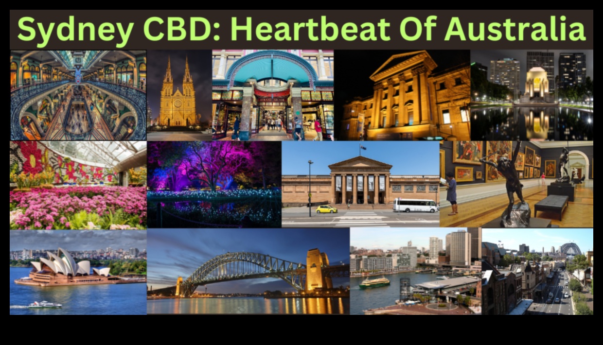 Ansambluri epice: O simfonie globală a reperelor