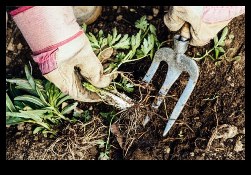 Inteligența înrădăcinată: prosperă cu educația în grădină