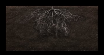 Inteligența înrădăcinată: prosperă cu educația în grădină