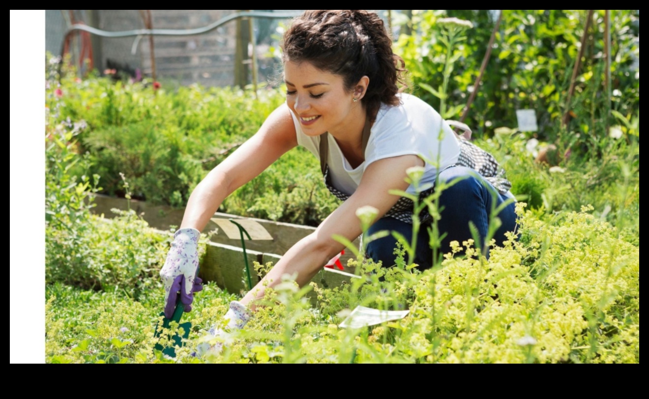 Inteligența înrădăcinată: prosperă cu educația în grădină