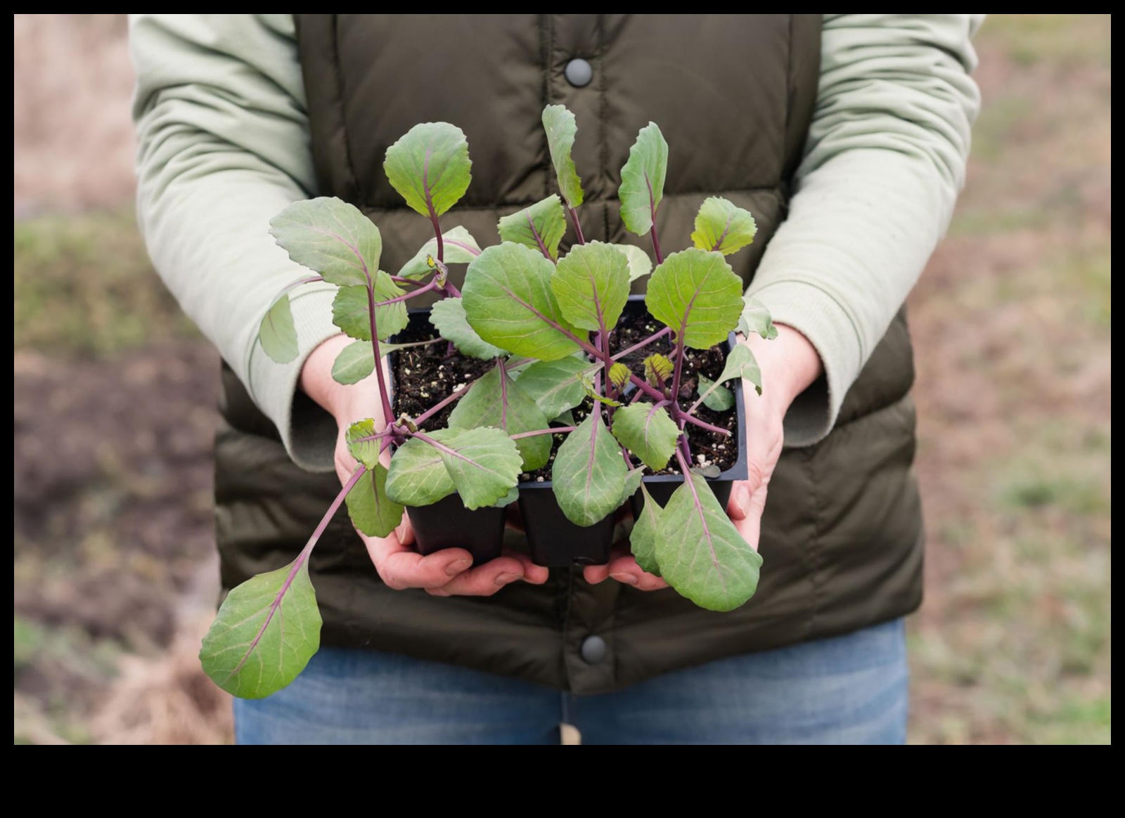 Inteligența înrădăcinată: prosperă cu educația în grădină