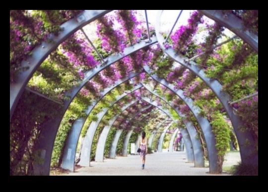 Blossom Bliss: Explorați alura tendințelor în decorarea grădinii