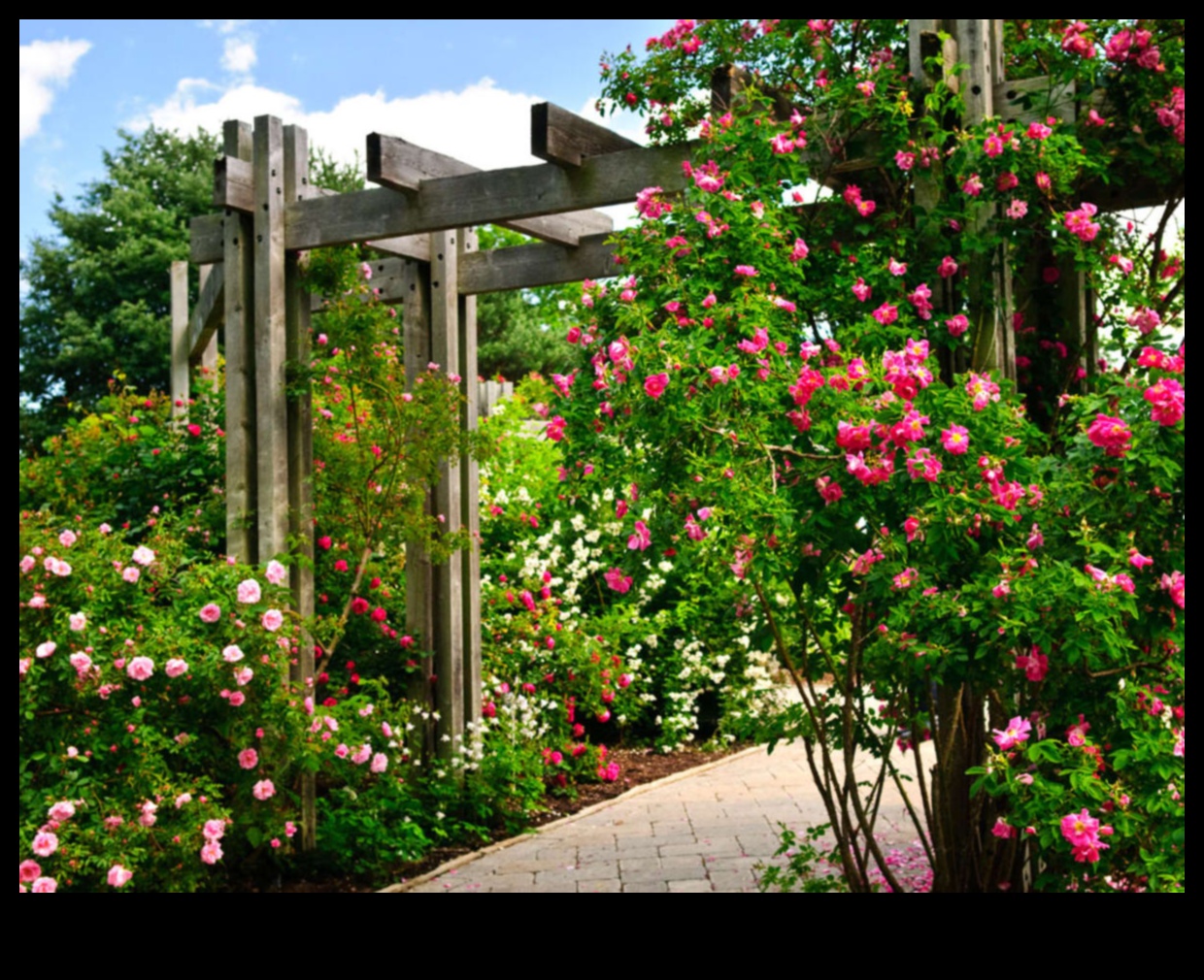 Urcarea spre eleganță: minuni în grădinărit vertical