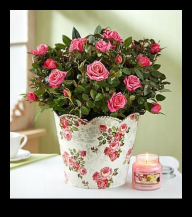 Frumusețe în devenire: cultivarea eleganței atemporale în îngrijirea grădinii