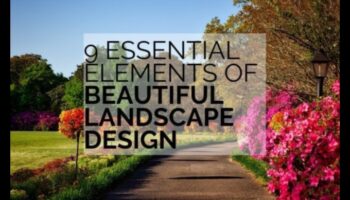 Care sunt elementele cheie care definesc peisajele?