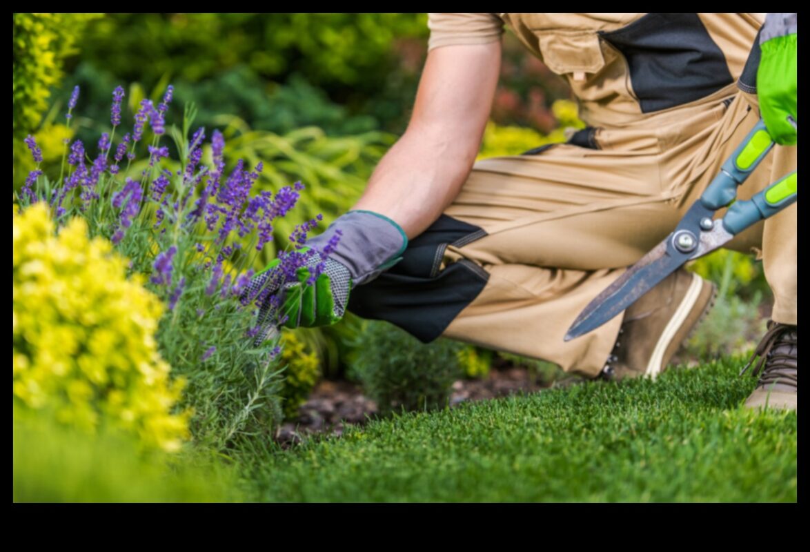 Frumusețe în devenire: cultivarea eleganței atemporale în îngrijirea grădinii