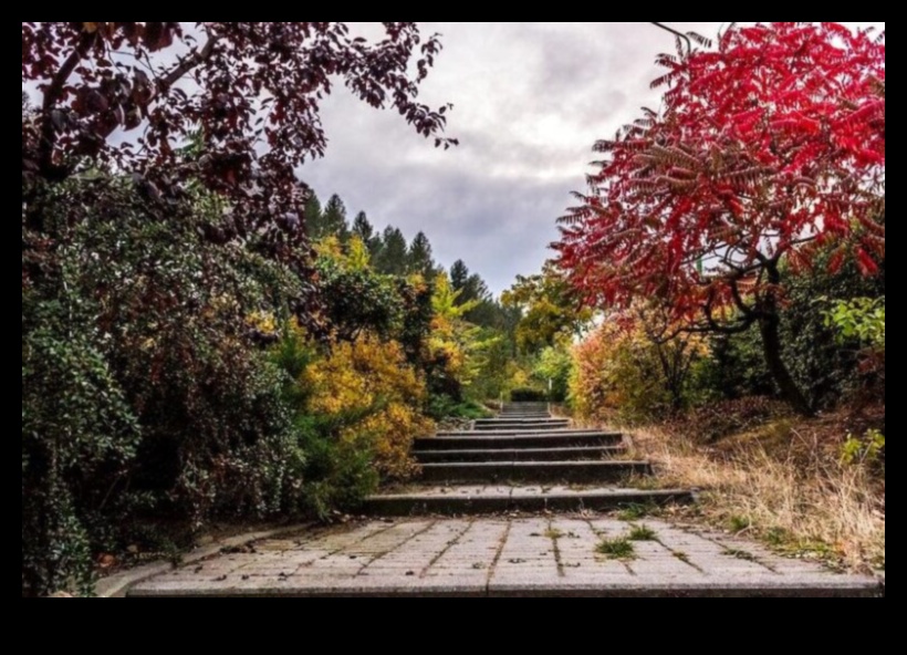 Grădini compacte, impact mare: Container Gardening Magic