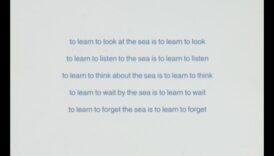 Vizări poetice: feeria peisajelor în poezie