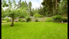 Sculptează-ți peisajul: elemente esențiale ale designului grădinii