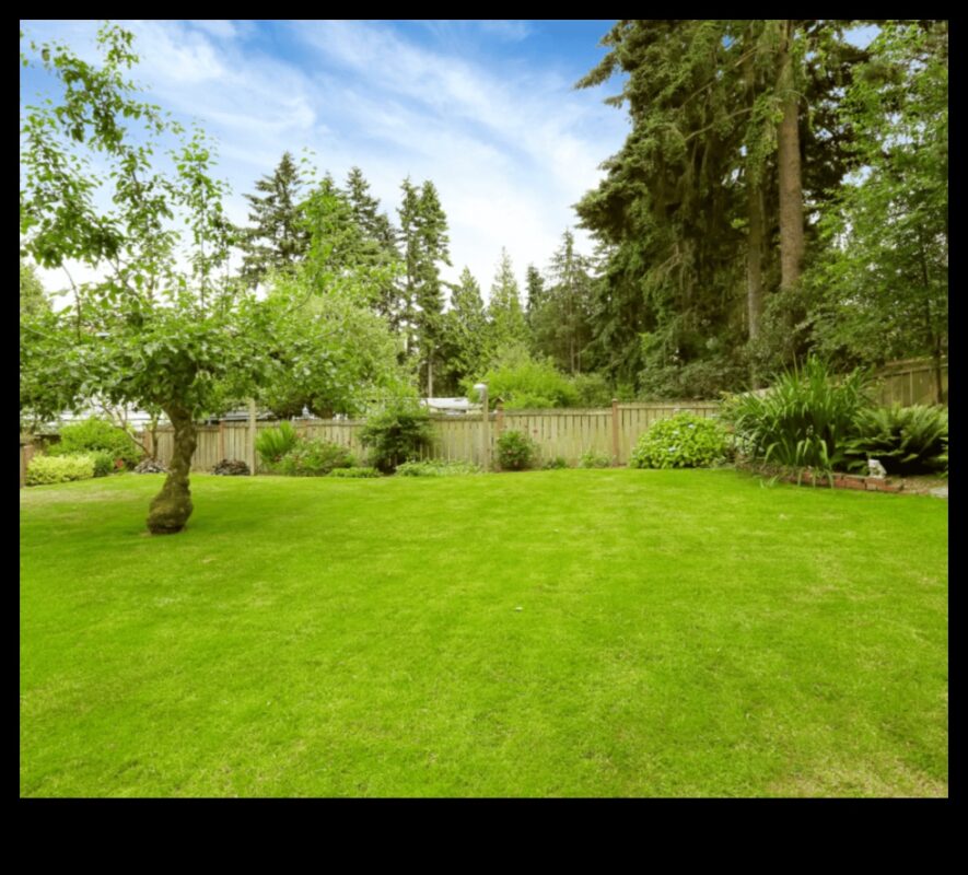 Sculptează-ți peisajul: elemente esențiale ale designului grădinii